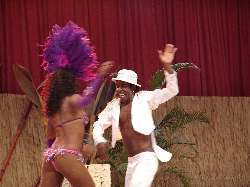 Brasil Samba Show (91)